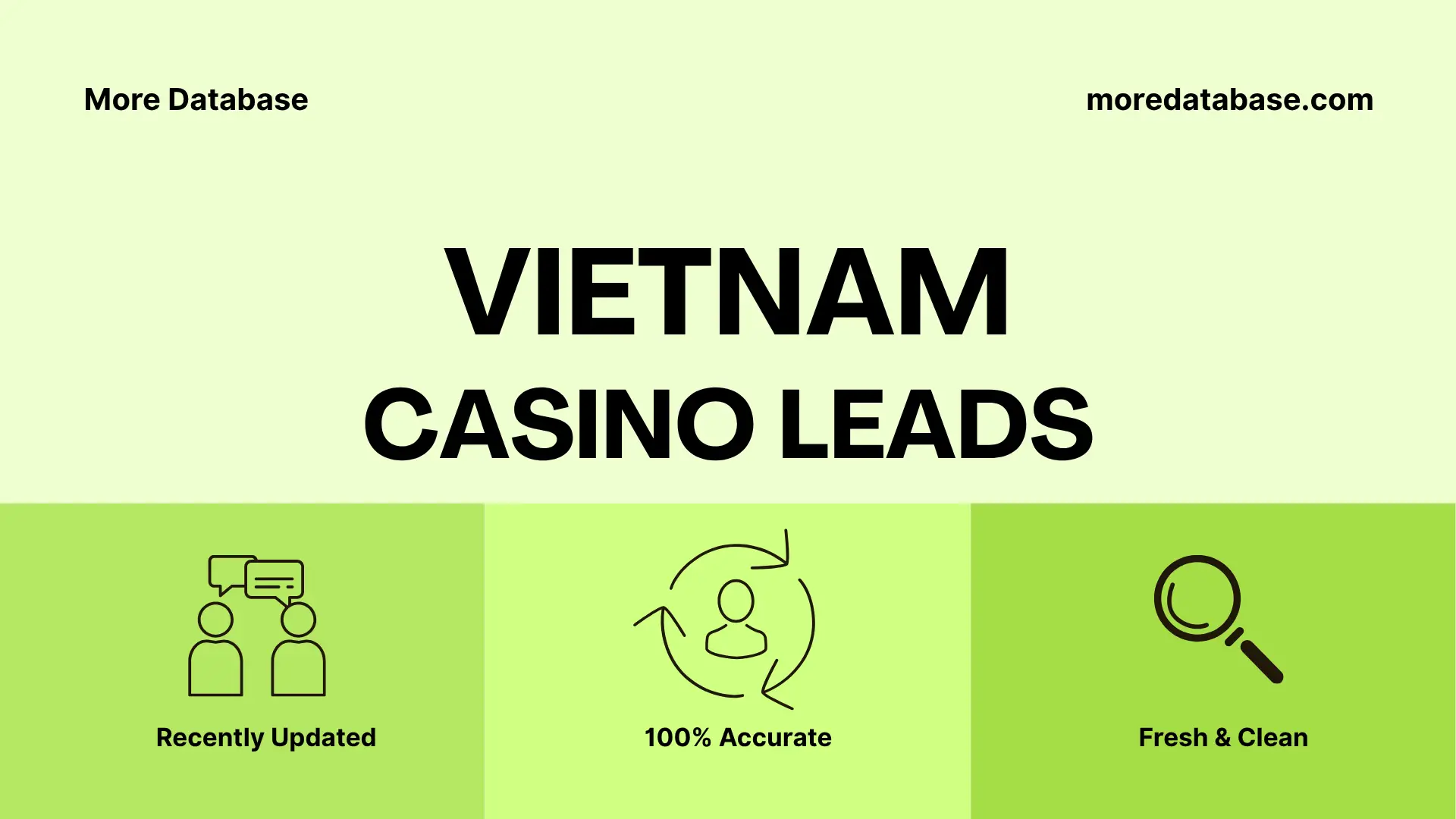 Vietnam Casino Leads